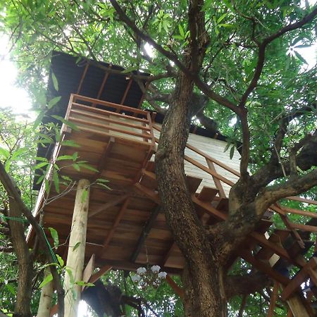 סלבאדור Casa Na Arvore מראה חיצוני תמונה