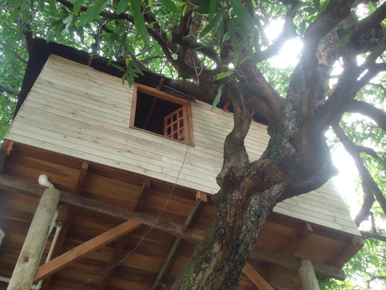 סלבאדור Casa Na Arvore מראה חיצוני תמונה