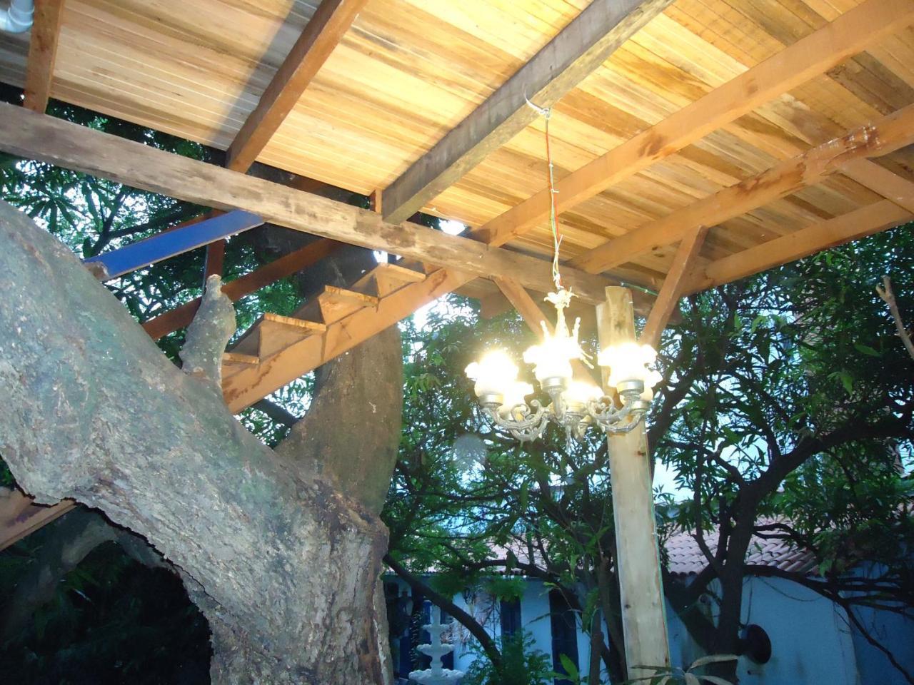 סלבאדור Casa Na Arvore מראה חיצוני תמונה