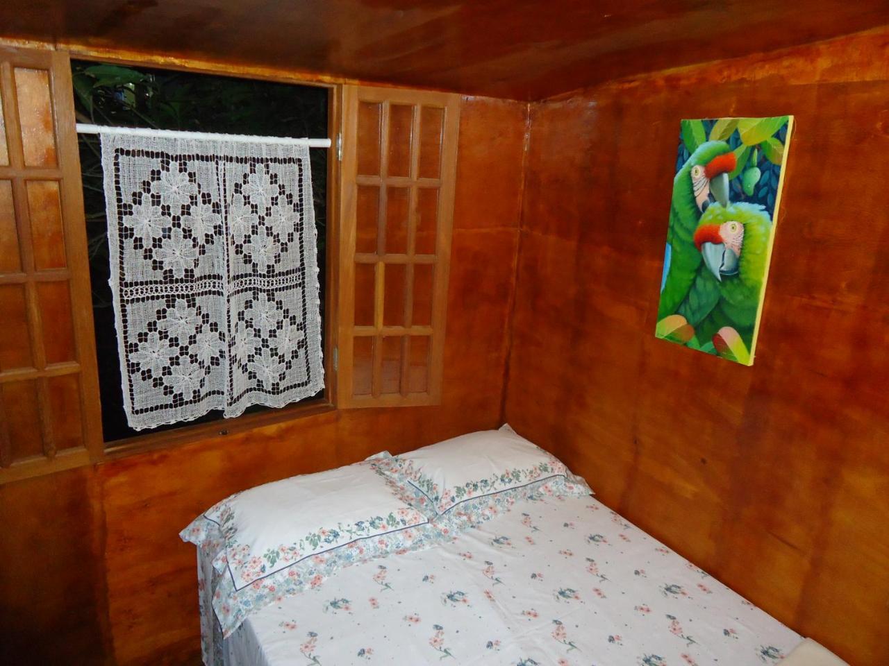 סלבאדור Casa Na Arvore מראה חיצוני תמונה